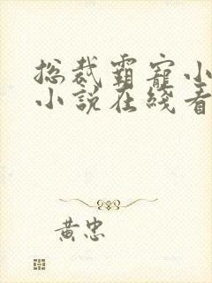 总裁霸宠小甜妻小说在线看
