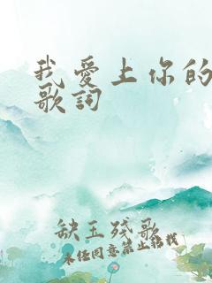 我爱上你的时候歌词