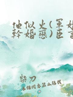 他似火(军婚高干婚恋)臣言最新章节