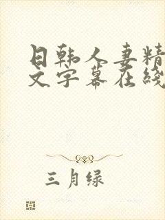 日韩人妻精品中文字幕在线