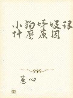 小狗呼吸很快是什么原因 小狗呼吸很快是什么原因