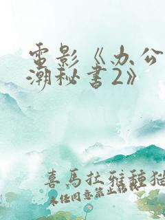 电影《办公室高潮秘书2》