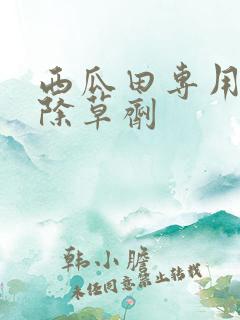西瓜田专用苗后除草剂