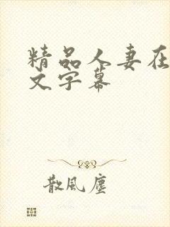 精品人妻在线中文字幕