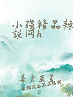 小强精品辣文小说网h