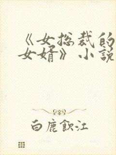 《女总裁的上门女婿》小说