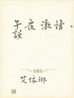 午夜 激情 小说