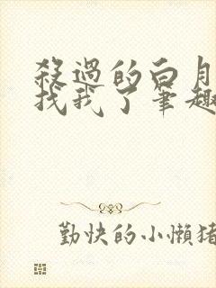 杀过的白月光来找我了笔趣阁