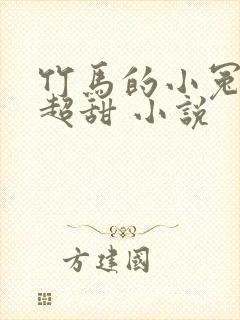 竹马的小冤家她超甜 小说