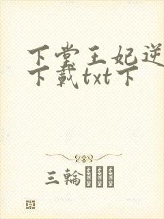 下堂王妃逆袭记下载txt下