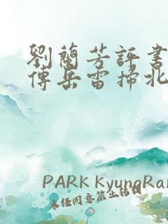 刘兰芳评书岳飞传岳雷扫北