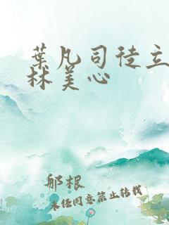 叶凡司徒立嫣然林美心