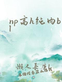 np高h纯肉bl np高h纯肉bl