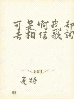 可是啊我却愿意去相信歌词