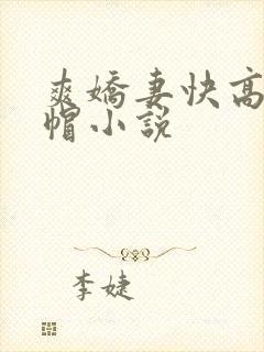 爽娇妻快高h绿帽小说