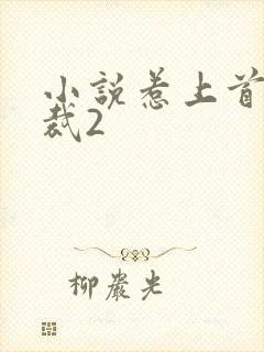 小说惹上首席总裁2