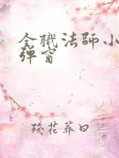 全职法师小说无弹窗