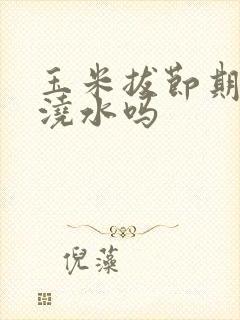 玉米拔节期需要浇水吗