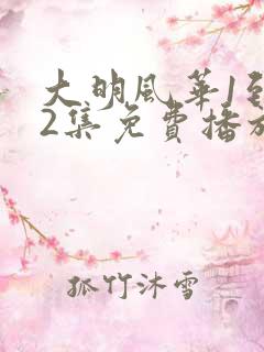 大明风华1到62集免费播放下载