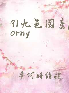 91九色国产porny