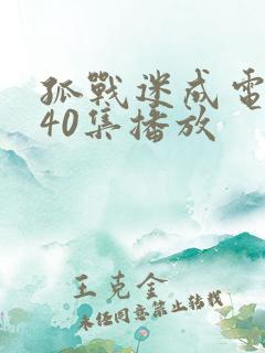 孤战迷成电视剧40集播放