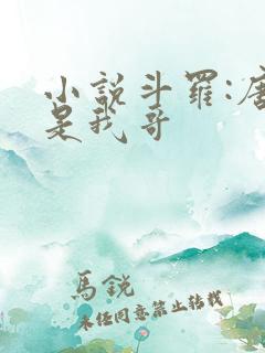小说斗罗:唐三是我哥 小说斗罗:唐三是我哥