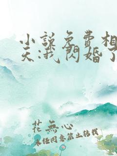 小说免费相亲当天:我闪婚了个千亿富翁