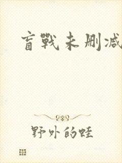 盲战未删减版