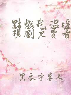 点燃我温暖你电视剧免费看完整版
