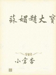 苏媚赵大宝赵彬