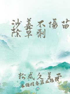 沙姜不伤苗专用除草剂