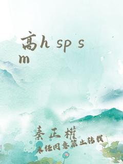 高h sp sm