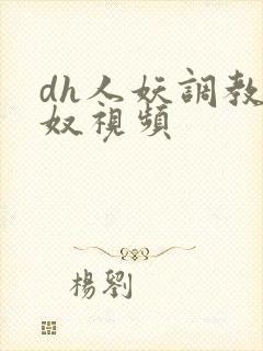 dh人妖调教男奴视频