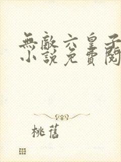 无敌六皇子云铮小说免费阅读