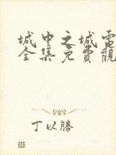 城中之城电视剧全集免费观看1080