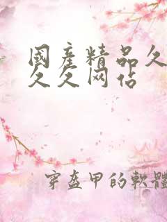 国产精品久久久久久网站