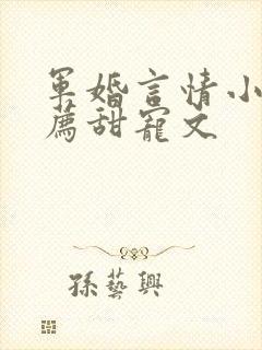 军婚言情小说推荐甜宠文