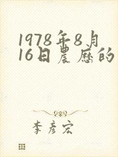 1978年8月16日农历的八字
