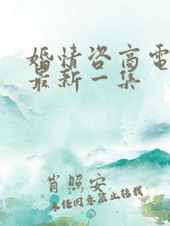 婚情咨商电视剧最新一集