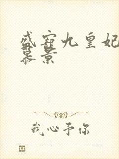 盛宠九皇妃轩辕慕景