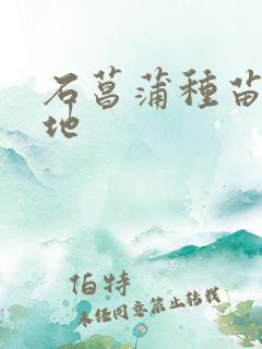 石菖蒲种苗植基地
