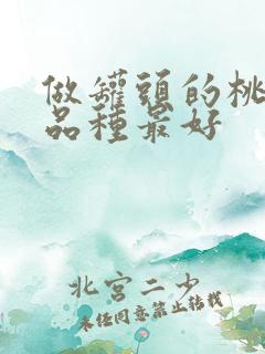 做罐头的桃什么品种最好