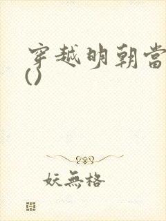 穿越明朝当皇帝()