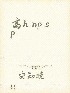 高h np sp