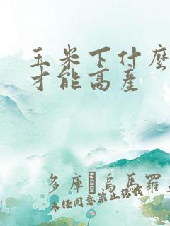 玉米下什么肥料才能高产