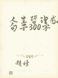 人生哲理感悟的句子300字