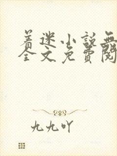 着迷小说无删减全文免费阅读