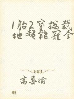 1胎2宝总裁爹地超能宠全文免费阅读