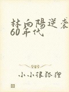 林向阳逆袭重生60年代