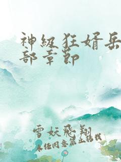 神级狂婿岳风全部章节